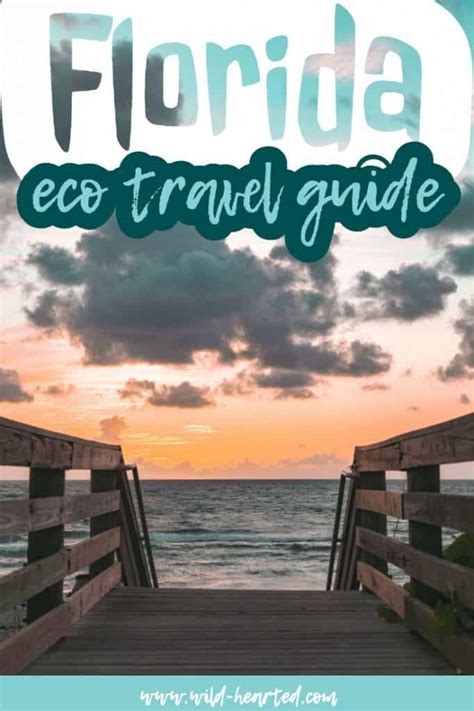 Ecotourism In Florida 5 Major Ways To Make A Difference In Florida