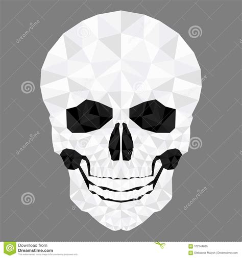 Skull head low poly stock vector. Illustration of color - 102544636