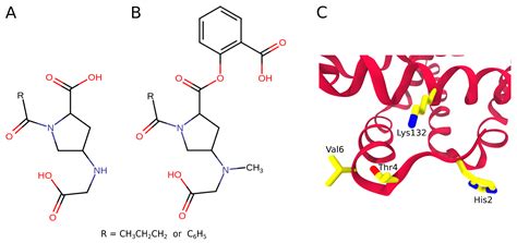 Molecules Free Full Text Rational Drug Design Of Peptide Based