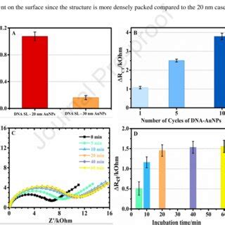 A Effect Of The Aunp Size With One Growth Cycle Of Dna Sl On The