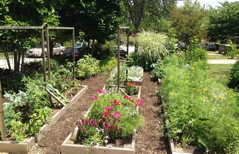 Why You Should Plant a Front Yard Veggie Garden | Sustainable America