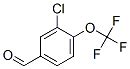 Chloro Trifluoromethoxy Benzaldehydeshanghai Minstar