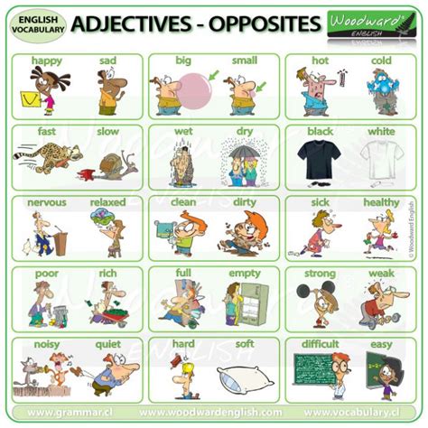 Adjectives Opposites Woodward English