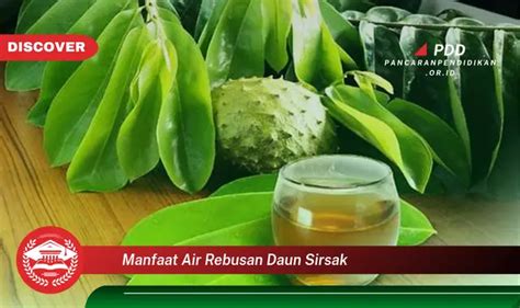 Jarang Diketahui Ini Dia Manfaat Air Rebusan Daun Sirsak Yang Bikin