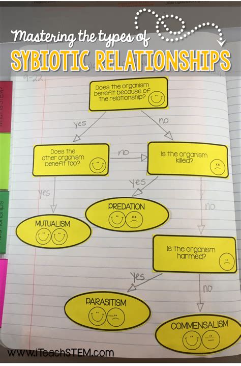 Symbiosis Worksheets