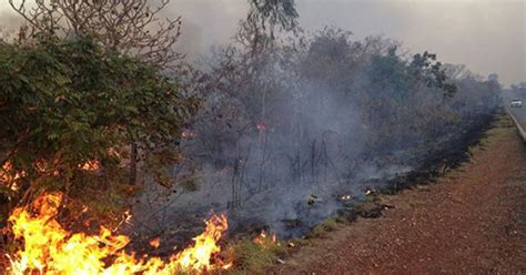 G Brigadistas De Mt Tentam Controlar Fogo No Parque Nacional De