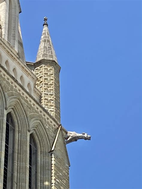 Sacred Heart Cathedral Bendigo Ambrett Flickr