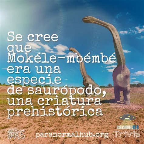 Se Cree Que Mok Le Mb Mb Era Una Especie De Saur Podo Una Criatura