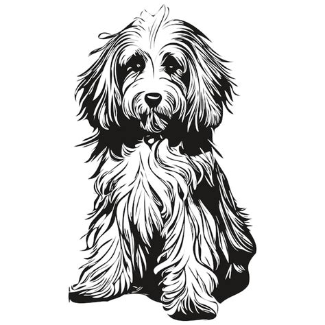 Bich N Habanero Perro Blanco Y Negro Vector Logo L Nea Arte Dibujado A