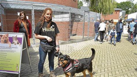 Tag Der Offenen T R Im Bremer Tierheim Katzen Und Hunde Suchen Ein