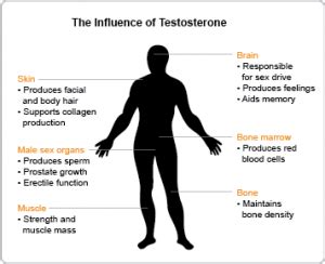 Testosterone Deficiency Symptoms