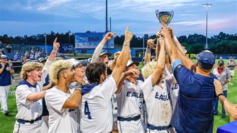 High school baseball: 2023 state champions - News 413