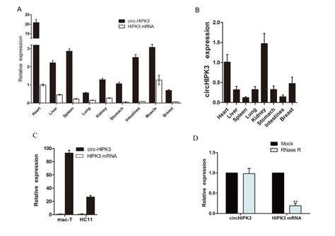 The Circhipk Is Widely Expressed A The Expression Profile Of