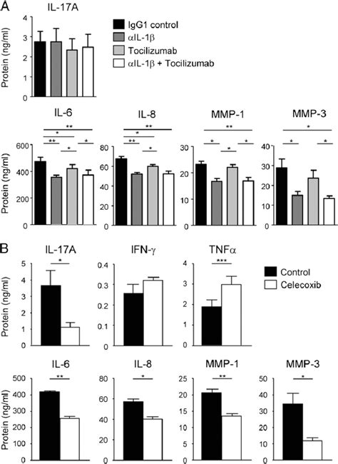 Effects Of Il B And Il Blockade And Celecoxib Treatment In Rasf