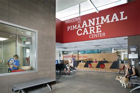 Pima Animal Care Center Animal Shelter Animal Arts