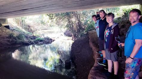 Platypus Viewing Yungaburra | Road Trip and Travel