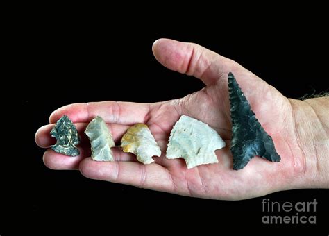 Real Texas Flint Arrowheads Photograph By W Scott Mcgill Fine Art