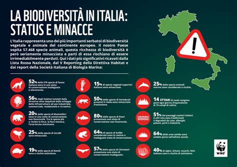 Biodiversità In Italia Wwf Oltre La Metà Delle Specie E L89 Degli