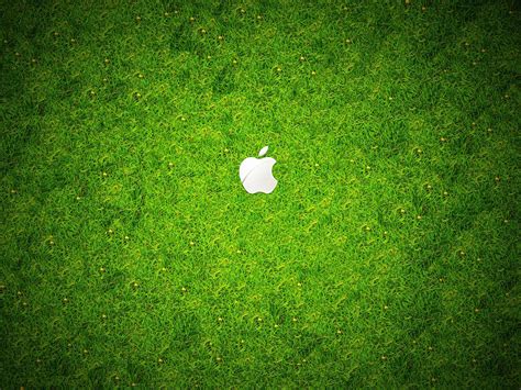 Green Grass Wallpapers - Top Free Green Grass Backgrounds - WallpaperAccess