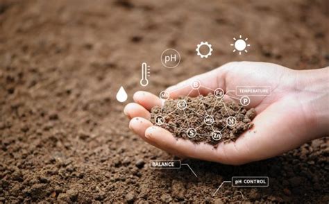 Peat Soil | Geotechnical for Foundation Design