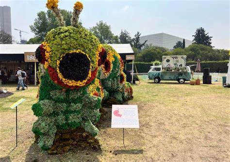 Flores Polanco Estrena Sede En Los Jardines De Campo Marte The Guide Cdmx