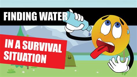 How To Find Water For Survival 5 Key Ways To Source Natural Water From