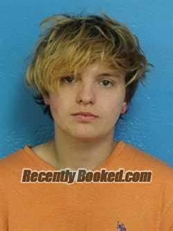 Recent Booking Mugshot For Cheyenne Leotie Burkett In Sullivan County