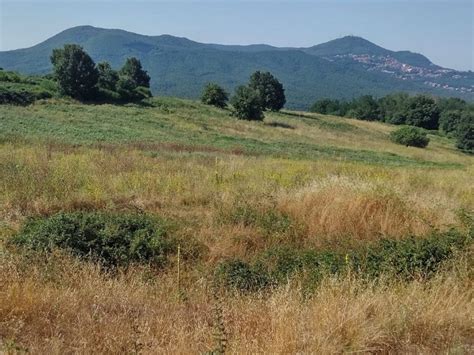 Parco Regionale Dei Castelli Romani I Sentieri C A I All Interno Del