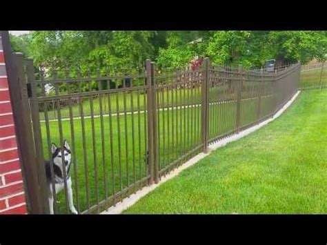 No dig dog fence the fence for dogs that dig outdoor living expert – Artofit