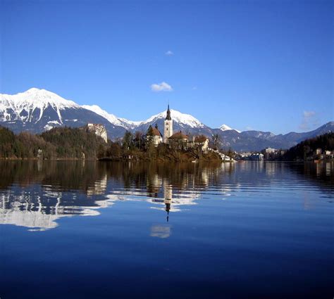 bled     bled