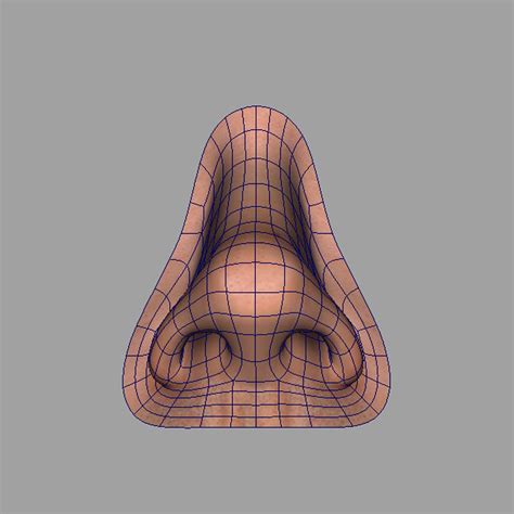 Nose 3D Model $15 - .fbx .ma - Free3D