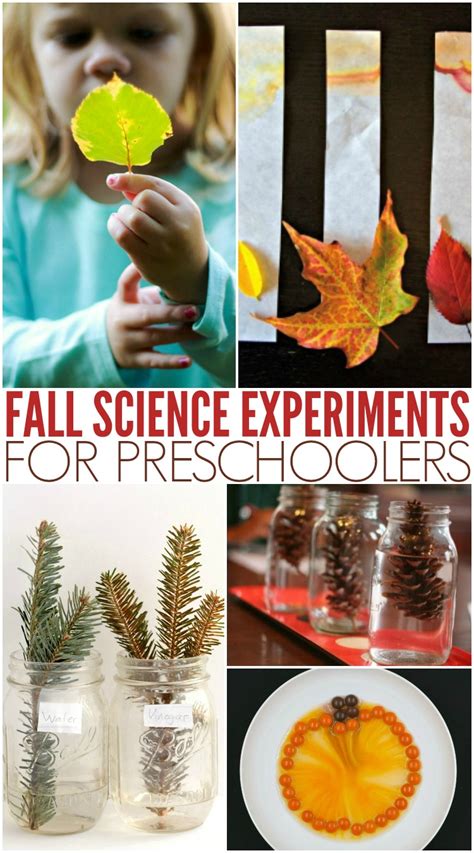 Must-Try Simple Fall Science Activities - Preschool Inspirations