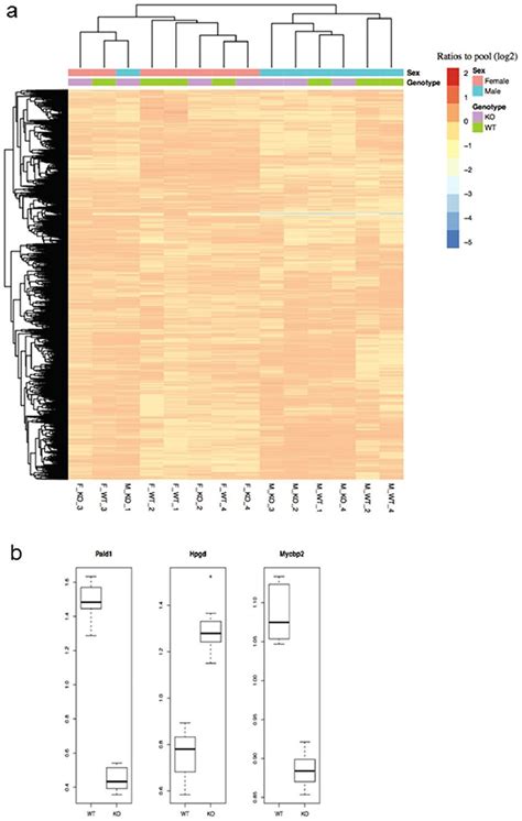 Proteomics Data Overview And Significantly Differentially Expressed Download Scientific Diagram