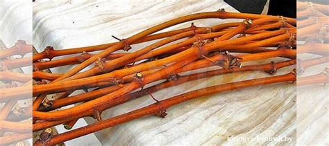 Черенки винограда купить в Москве | Товары для дома и дачи | Авито