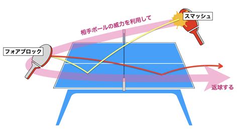 卓球フォアブロックのコツ！やり方・打ち方、メリットや練習方法まで Meコーチの卓球塾