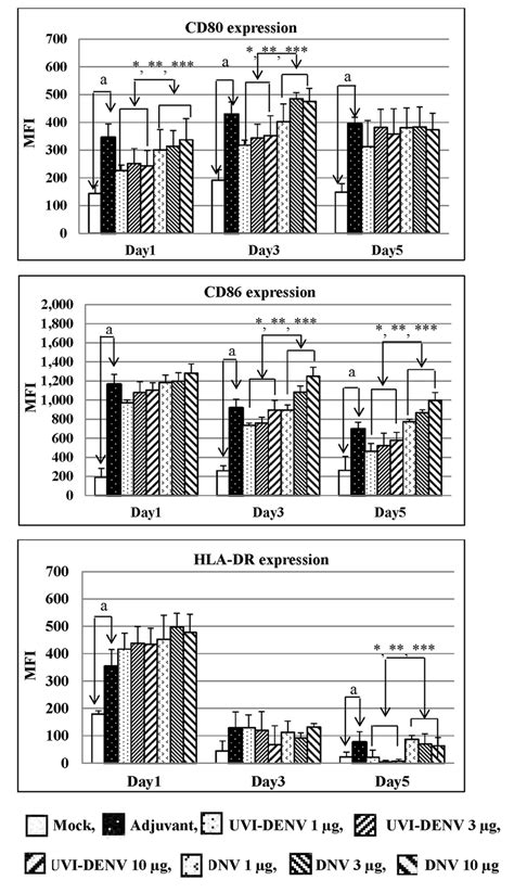 The Expression Levels Of CD80 A CD86 B And HLA DR C On Various