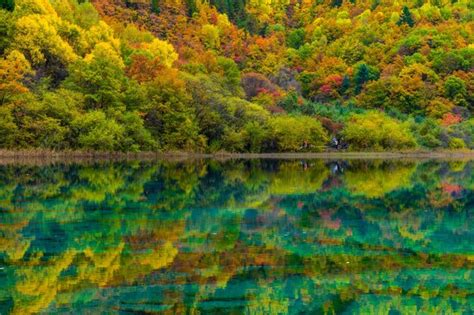 Premium Photo | Colorful autumn in jiuzhaigou national park, sichuan, china