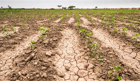 El Ministerio De Economía Declaró La Emergencia Agropecuaria Por La