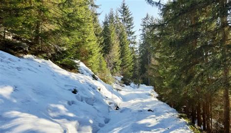 Assling Strada Panoramica Della Val Pusteria Valle Della Drava