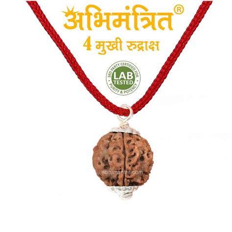 Buy 4 Mukhi Rudraksha Best Price Abhimantrit™