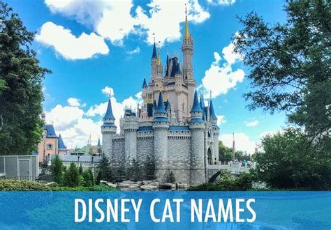 Disney Cat Names - 29 Unforgettable Characters [165+ Name Ideas!]