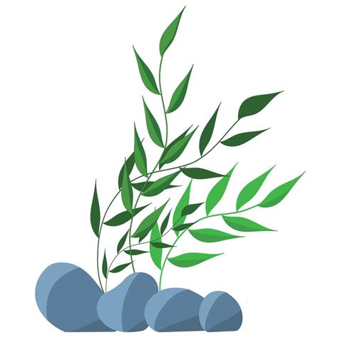 vector illustration of green algae with round leaves on a white ...