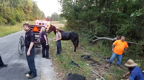 No Injuries Following Amish Buggy Accident | WENK-WTPR | KFKQ