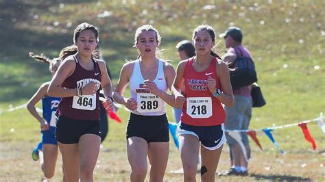 TSSAA cross country state championships in pictures