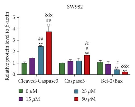 Bai Promoted Sw982 Cell Apoptosis A Annexin V Fitc Positive And Download Scientific Diagram