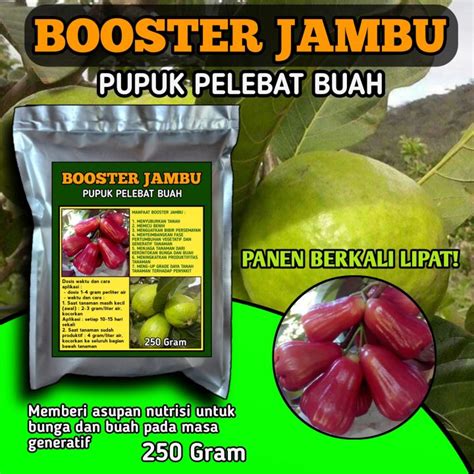 Pupuk Organik Booster Jambu Pupuk Pelebat Buah Nutrisi Perangsang Untuk