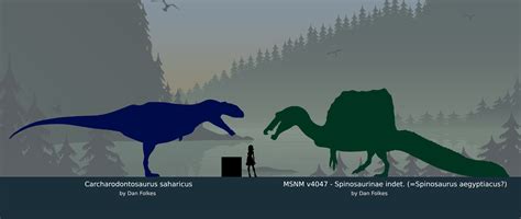 Based size charts 22.0: Carcharodontosaurus and Spinosaurus | Fandom