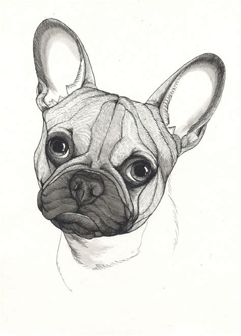 French Bulldog Sketch Sketchbook Page By Jeroen Teunen The Dog