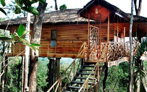 Escape To These 4 Unique Resorts With A Tree House In Wayanad 2024