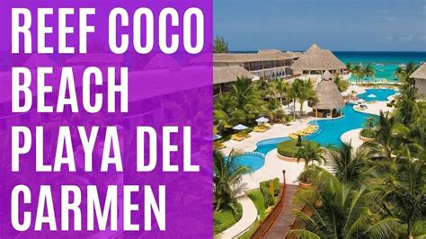 The Reef Coco Beach Resort In Playa Del Carmen Great All Inclusive